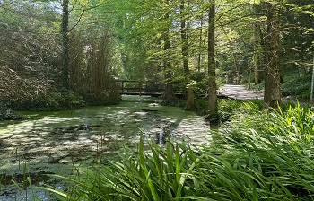 19. Murgia parkean hobekuntzak